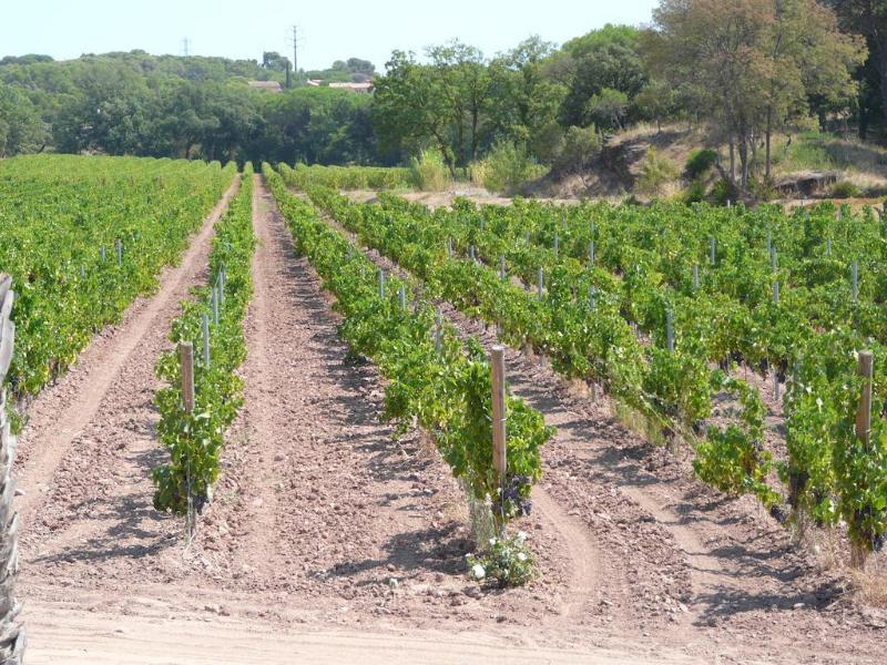 La Bastide Du Clos Des Roses - Teritoria Frejus Exterior photo